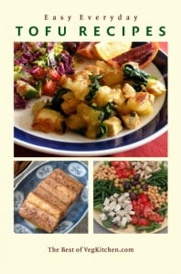 Soft Tofu Recipes Vegan