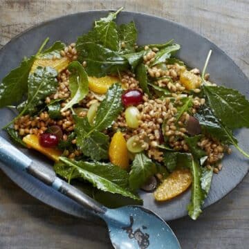 Straight from the Earth_Wheat Berry Salad