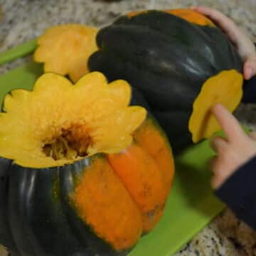 Prepping acorn squash