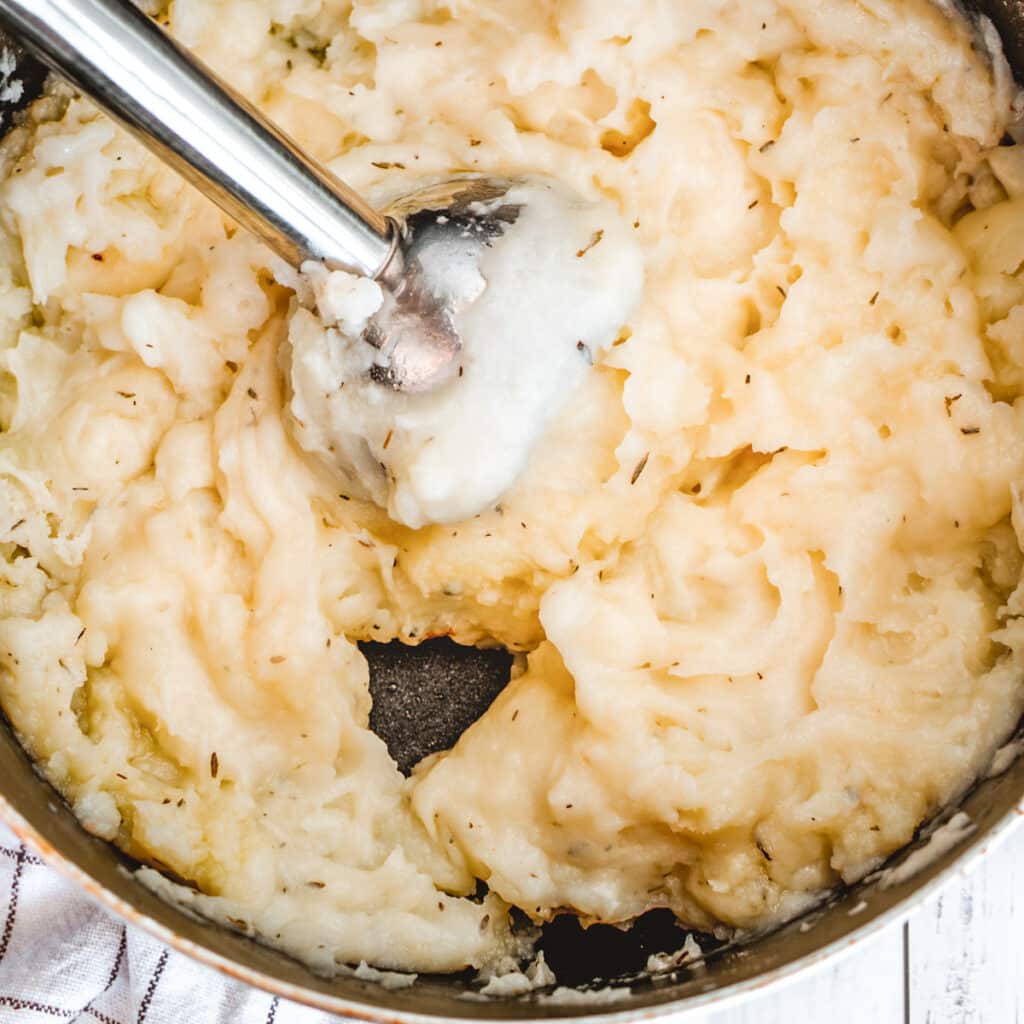 Vegan Mashed Potatoes | Versatile & Easy | VegKitchen